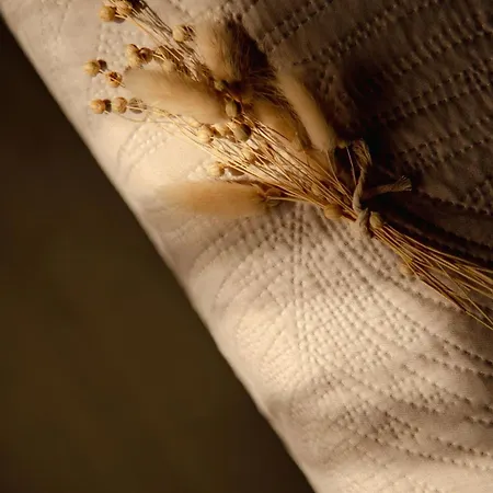 Sea Breeze Oasis