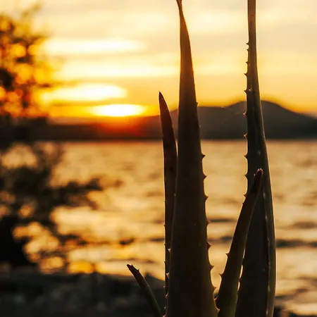 Semesterbostad Sea Breeze Oasis